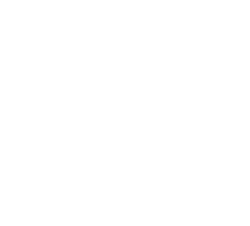 Bionluk
